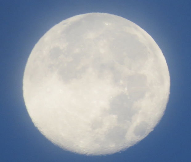 Blue Moon